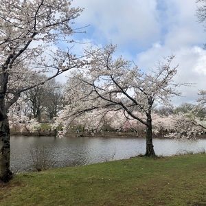 Meet your Posher, Jodi